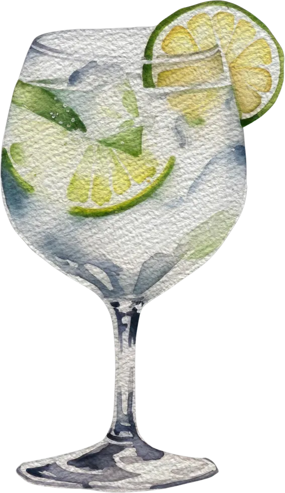 Illustration aquarelle : Gin Tonic